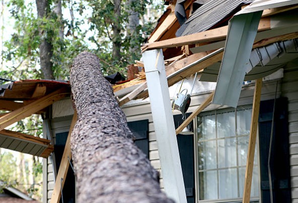 写真２．戸建住宅の台風被害