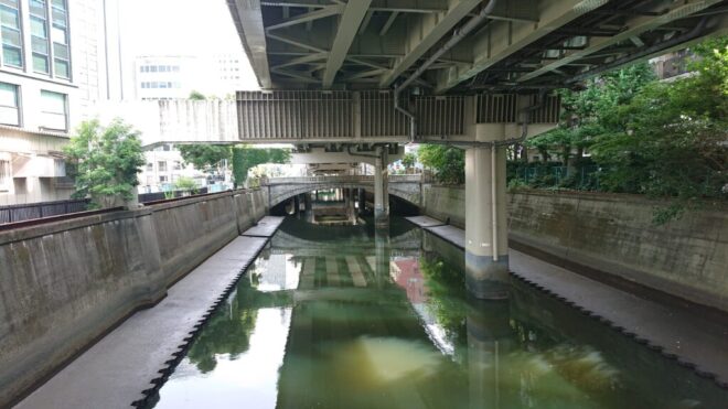 写真15．新川橋から下流を臨む