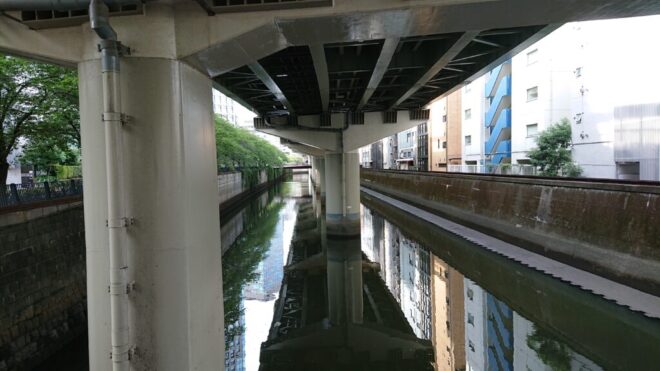 写真16．新川橋から上流を臨む