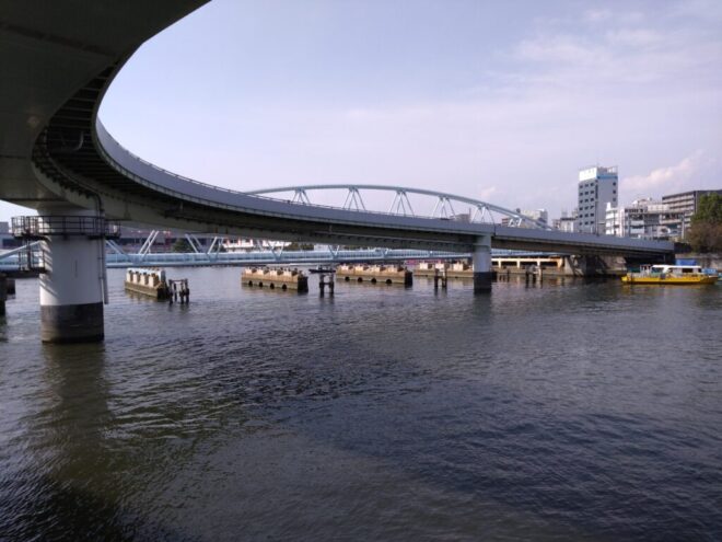 写真９．橋脚部のみを残す端建蔵橋：昭和橋から撮影