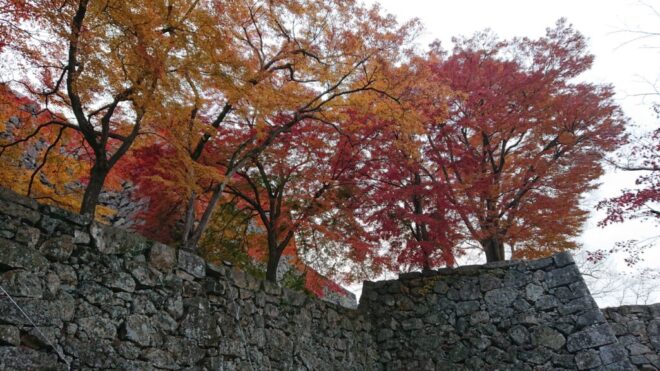 写真31．津山城内の紅葉