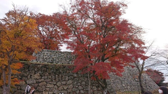 写真32．津山城内の紅葉